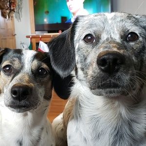 Meet your Posher, Kristal